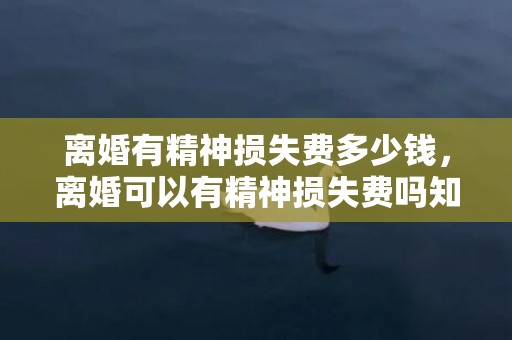 离婚有精神损失费多少钱，离婚可以有精神损失费吗知乎？精神小伙知乎