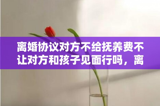 离婚协议对方不给抚养费不让对方和孩子见面行吗，离婚协议对方不给钱能起诉吗 夫妻签离婚协议时发现没笔