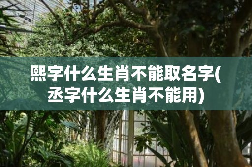 熙字什么生肖不能取名字(丞字什么生肖不能用)