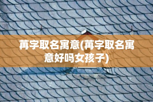 苒字取名寓意(苒字取名寓意好吗女孩子)