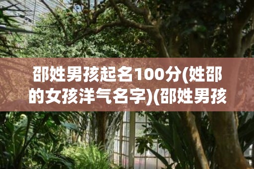 邵姓男孩起名100分(姓邵的女孩洋气名字)(邵姓男孩起名100分)