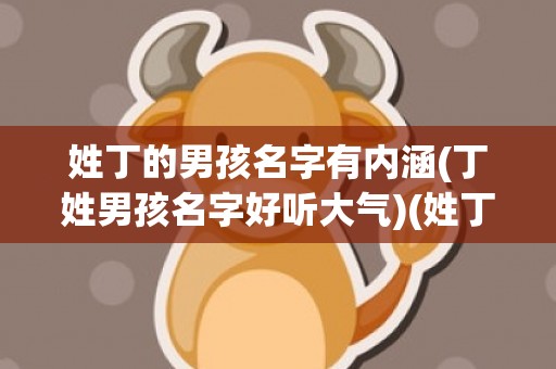 姓丁的男孩名字有内涵(丁姓男孩名字好听大气)(姓丁的男孩叫什么名字好)
