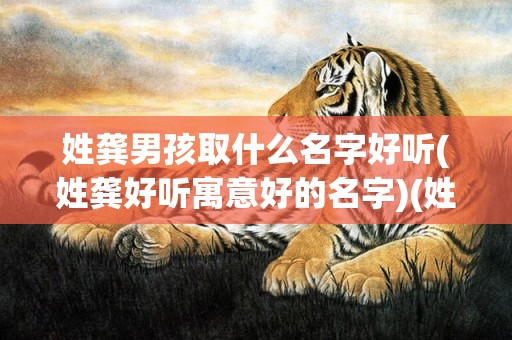 姓龚男孩取什么名字好听(姓龚好听寓意好的名字)(姓龚男孩取什么名字大气最好有龙字的)