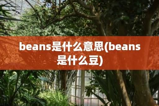 beans是什么意思(beans是什么豆)
