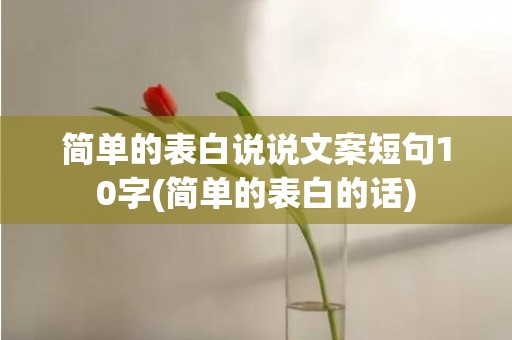 简单的表白说说文案短句10字(简单的表白的话)