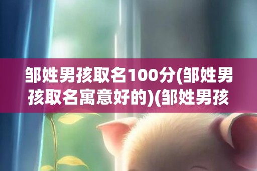 邹姓男孩取名100分(邹姓男孩取名寓意好的)(邹姓男孩取名100分2024)