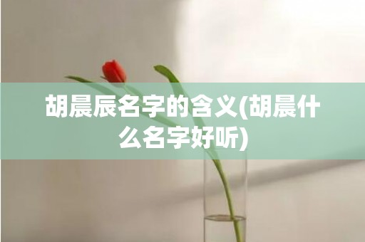 胡晨辰名字的含义(胡晨什么名字好听)