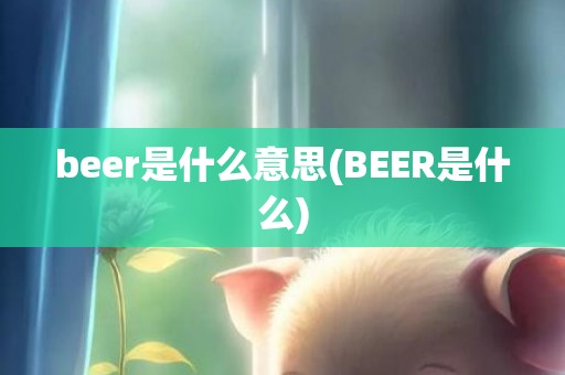 beer是什么意思(BEER是什么)