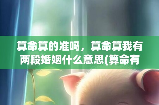 算命算的准吗，算命算我有两段婚姻什么意思(算命有二次婚姻怎么办)