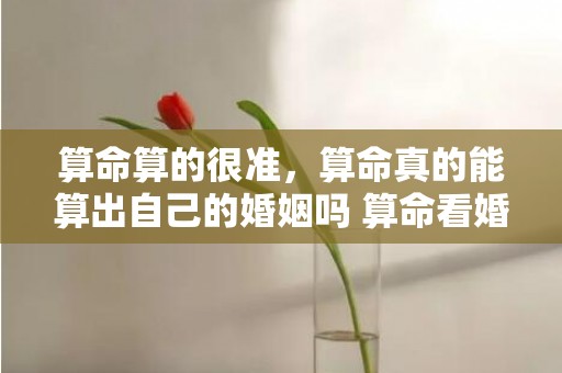 算命算的很准，算命真的能算出自己的婚姻吗 算命看婚姻准吗