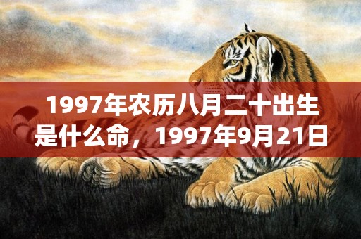 1997年农历八月二十出生是什么命，1997年9月21日八字命理解析(1997年农历八月十八是什么星座)