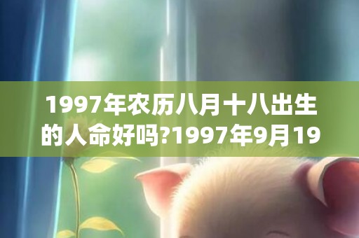 1997年农历八月十八出生的人命好吗?1997年9月19日是什么命?(1997年农历八月二十是什么星座)