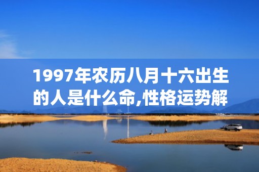 1997年农历八月十六出生的人是什么命,性格运势解析(1997年农历八月二十是什么星座)