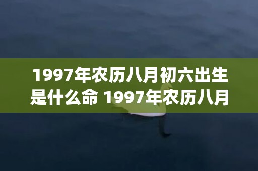 1997年农历八月初六出生是什么命 1997年农历八月初六出生的人命运如何(1997年农历八月二十)