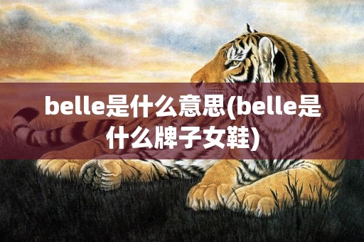belle是什么意思(belle是什么牌子女鞋)