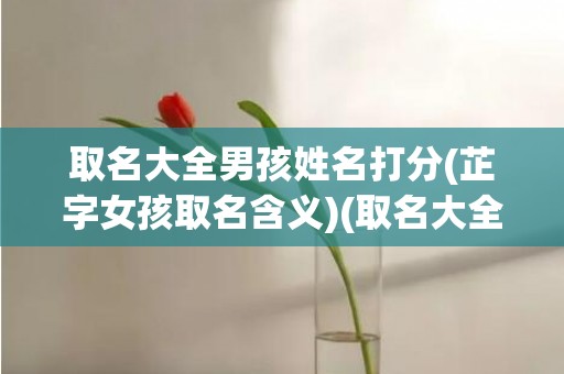 取名大全男孩姓名打分(芷字女孩取名含义)(取名大全男孩姓名免费汪)