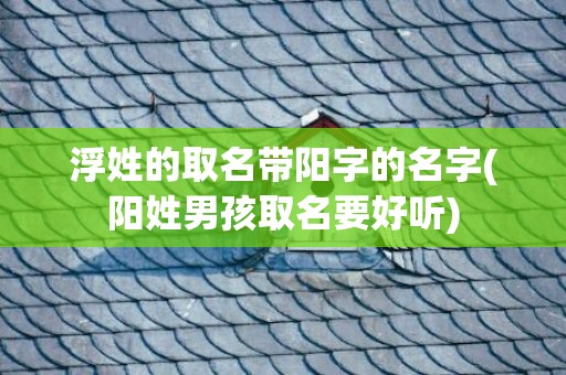 浮姓的取名带阳字的名字(阳姓男孩取名要好听)