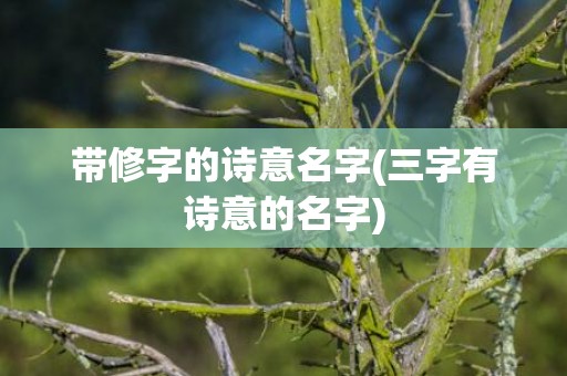 带修字的诗意名字(三字有诗意的名字)