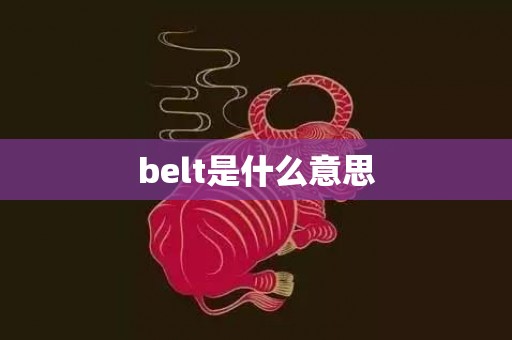 belt是什么意思