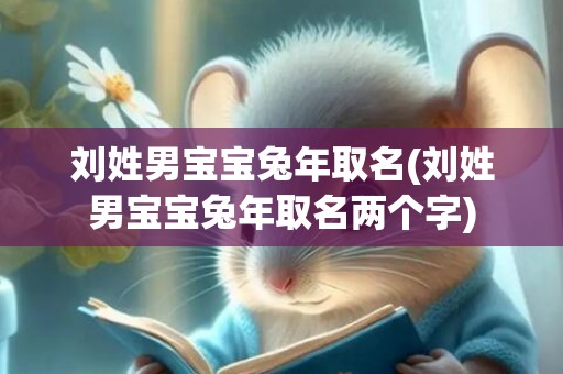 刘姓男宝宝兔年取名(刘姓男宝宝兔年取名两个字)