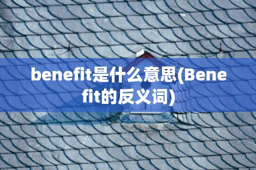 benefit是什么意思(Benefit的反义词)
