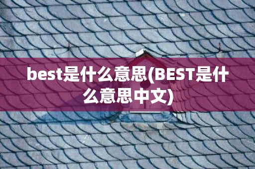 best是什么意思(BEST是什么意思中文)