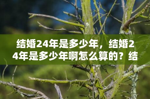 结婚24年是多少年，结婚24年是多少年啊怎么算的？结婚几年怎么算