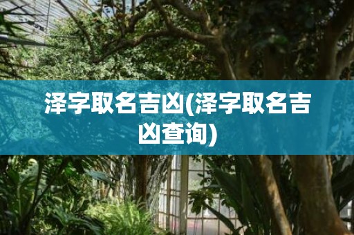 泽字取名吉凶(泽字取名吉凶查询)