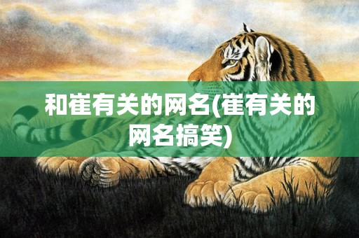 和崔有关的网名(崔有关的网名搞笑)