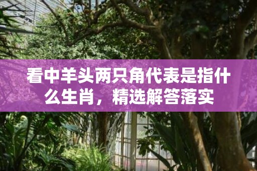 看中羊头两只角代表是指什么生肖，精选解答落实