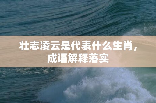 壮志凌云是代表什么生肖，成语解释落实