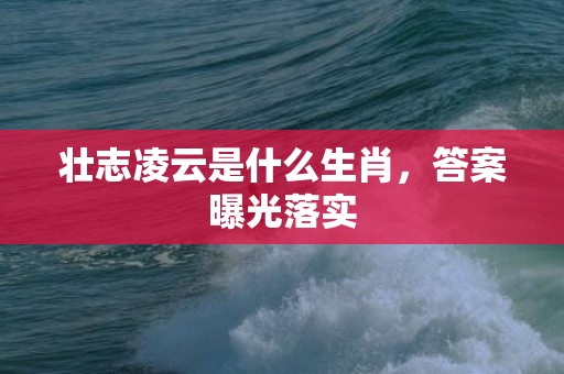 壮志凌云是什么生肖，答案曝光落实
