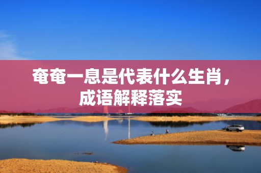 奄奄一息是代表什么生肖，成语解释落实