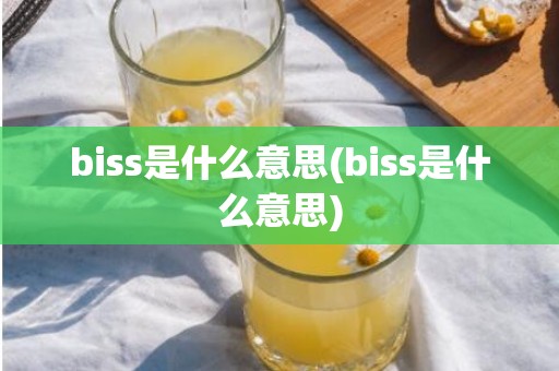 biss是什么意思(biss是什么意思)