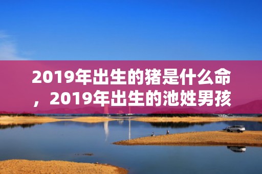 2019年出生的猪是什么命，2019年出生的池姓男孩如何起名字，姓池男孩好听的名字