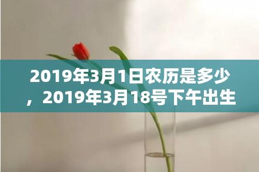 2019年3月1日农历是多少，2019年3月18号下午出生的男孩起什么名字好，该如何取名？