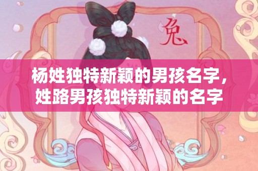 杨姓独特新颖的男孩名字，姓路男孩独特新颖的名字