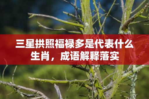 三星拱照福禄多是代表什么生肖，成语解释落实