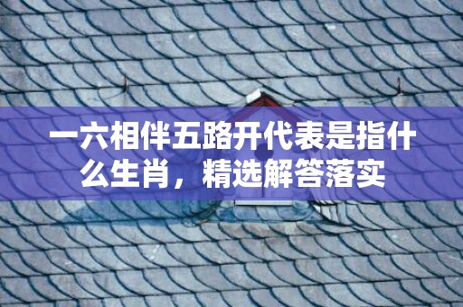 一六相伴五路开代表是指什么生肖，精选解答落实