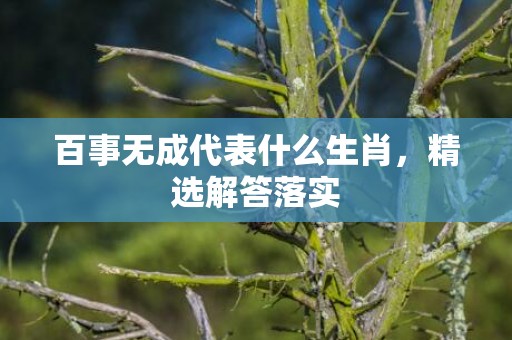 百事无成代表什么生肖，精选解答落实