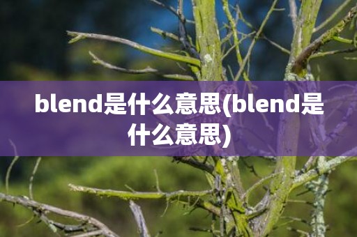 blend是什么意思(blend是什么意思)