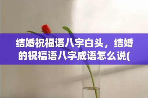 结婚祝福语八字白头，结婚的祝福语八字成语怎么说(祝福语四字)