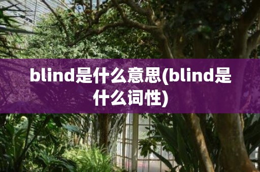 blind是什么意思(blind是什么词性)