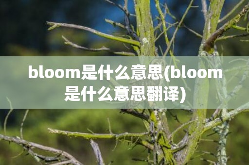bloom是什么意思(bloom是什么意思翻译)