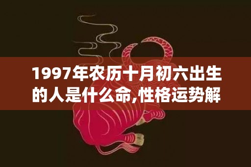 1997年农历十月初六出生的人是什么命,性格运势解析(1997年农历十月初七是什么星座)