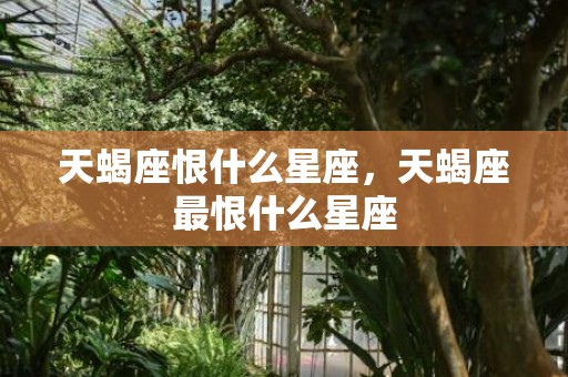 天蝎座恨什么星座，天蝎座最恨什么星座