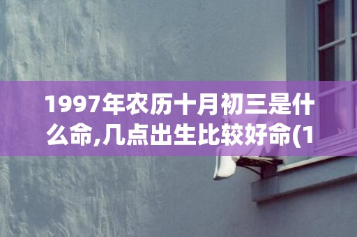 1997年农历十月初三是什么命,几点出生比较好命(1997年农历十月初一是什么星座)