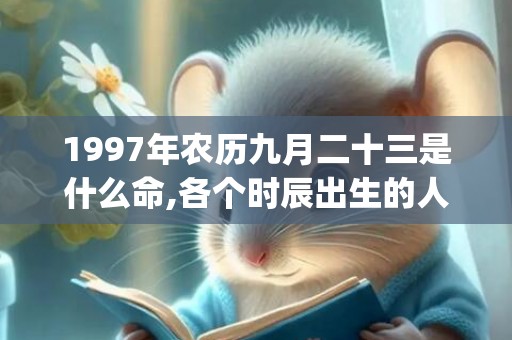 1997年农历九月二十三是什么命,各个时辰出生的人的命运(1997年农历九月初八是什么命)