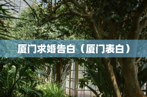 厦门求婚告白（厦门表白）