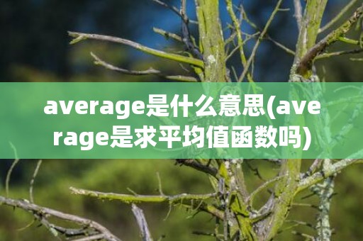 average是什么意思(average是求平均值函数吗)